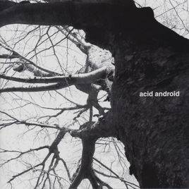 Acid Android : Acid Android